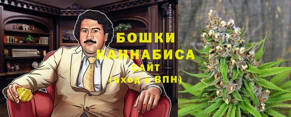 стафф Нефтегорск