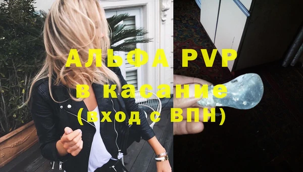 стаф Нефтекумск