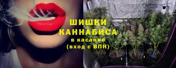 стафф Нефтегорск