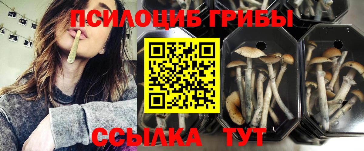 Галлюциногенные грибы Magic Shrooms Черногорск