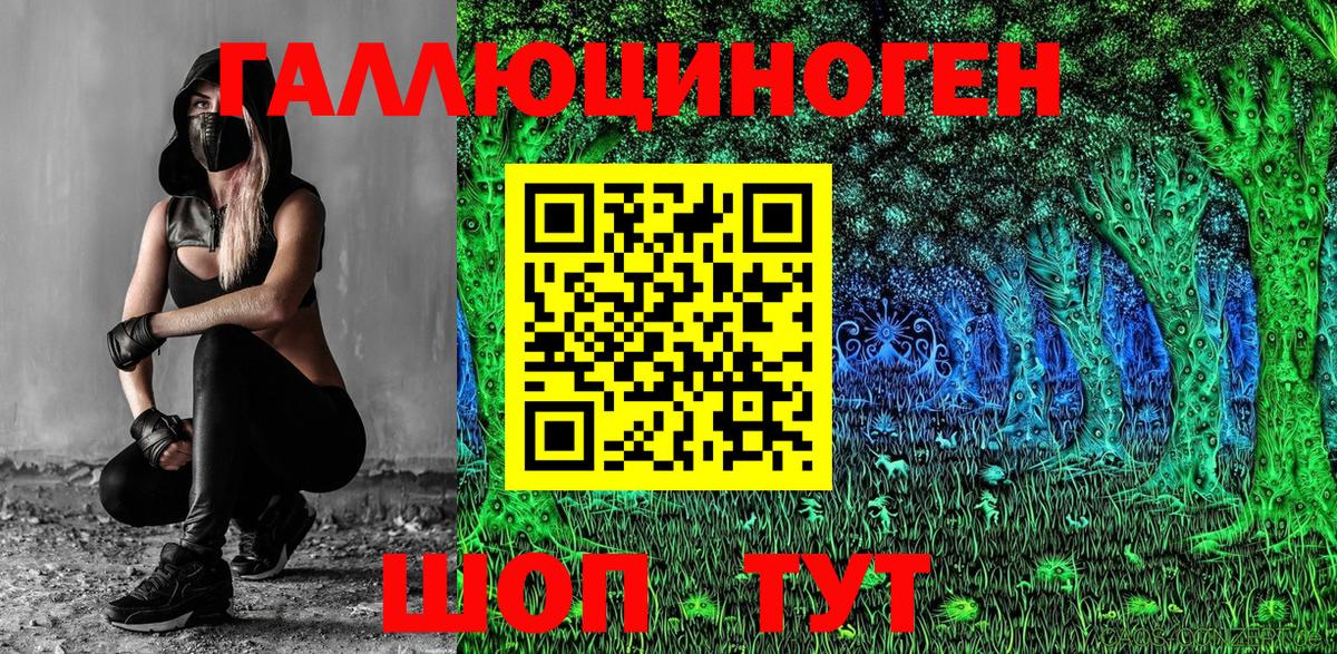 Черногорск  Псилоцибиновые грибы GOLDEN TEACHER  Вход с VPN 